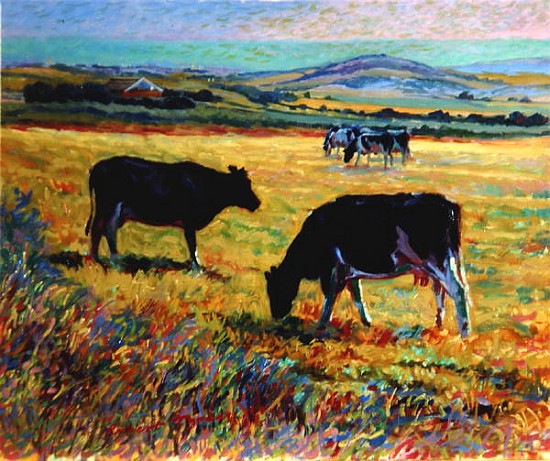 Cows on the Downs Overlooking Brighton  de Robert  Tyndall