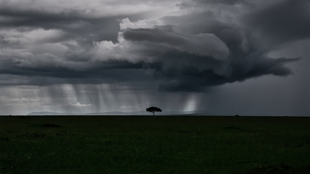 Storm is coming de Roberto Marchegiani