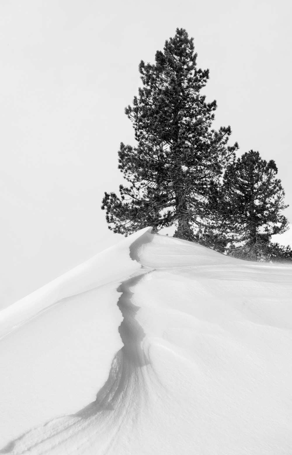 About the snow and forms de Rodrigo Núñez Buj