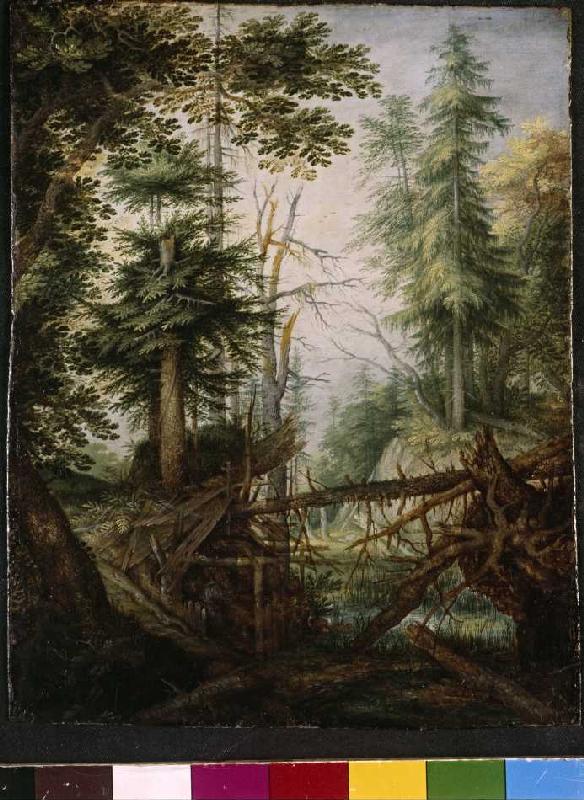 Waldlandschaft mit Eremit de Roelant Jakobsz Savery