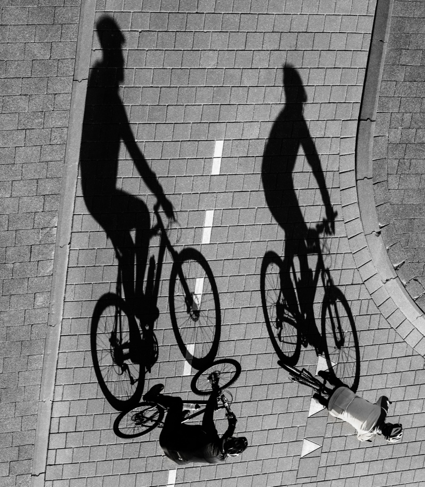 Moving shadows de Roelof de Hoog