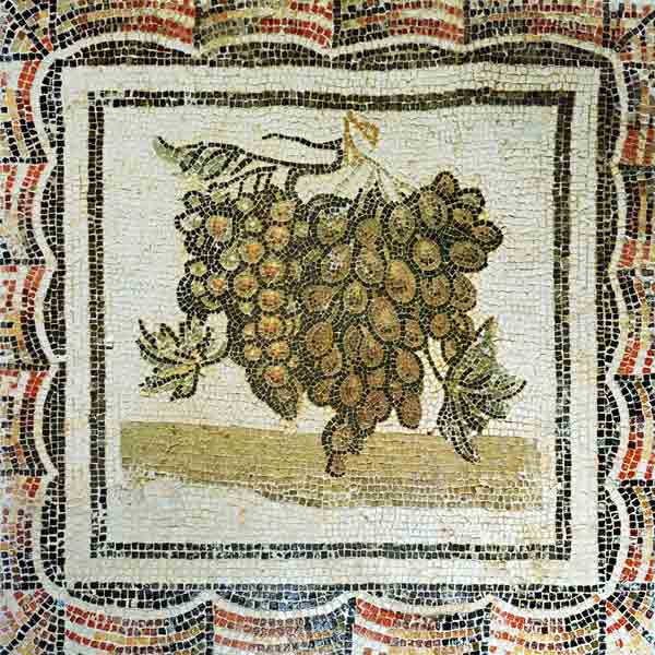 Bunch of white grapes, Roman mosaic (mosaic) de Roman