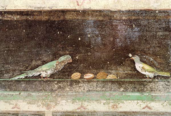 Birds eating nuts, detail from a tablinium decorated with Egyptian-style paintings de Roman