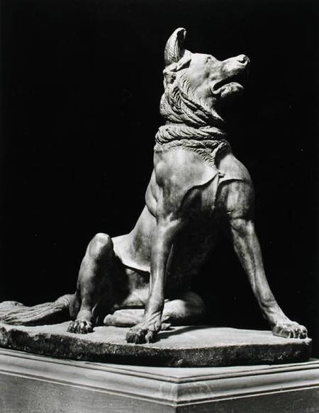 Bull Mastif Dog de Roman