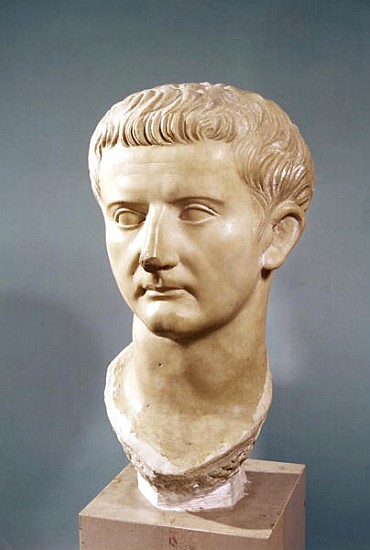 Head of the Emperor Tiberius (42 BC-37 AD) (marble) de Roman