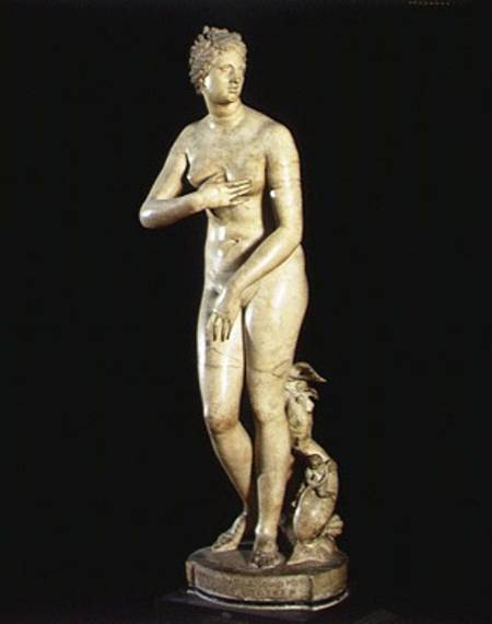 The Medici Venus de Roman