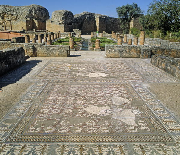 View of the ruins and a mosaic floor (photo)  de Roman