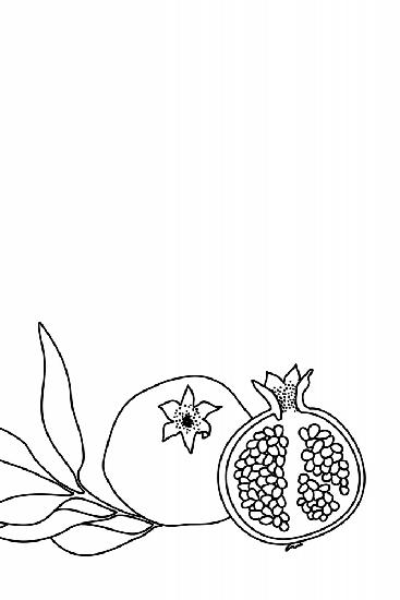 Pomegranate line art