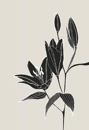 Line art lillies in black