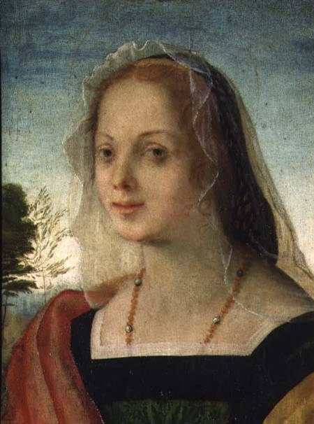 Portrait of a Young Girl de Rosso Fiorentino