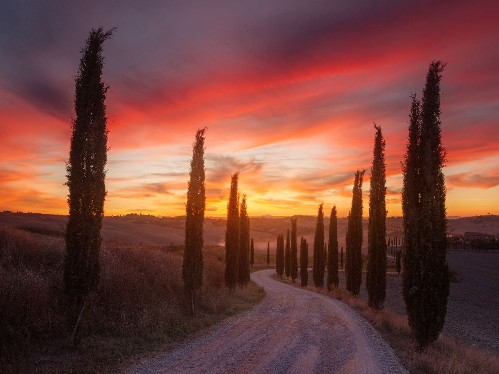 Tuscany sunset de Rostovskiy Anton