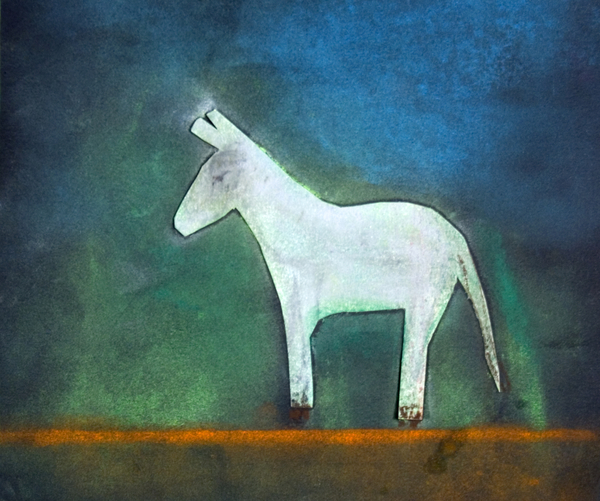 Donkey de Roya  Salari