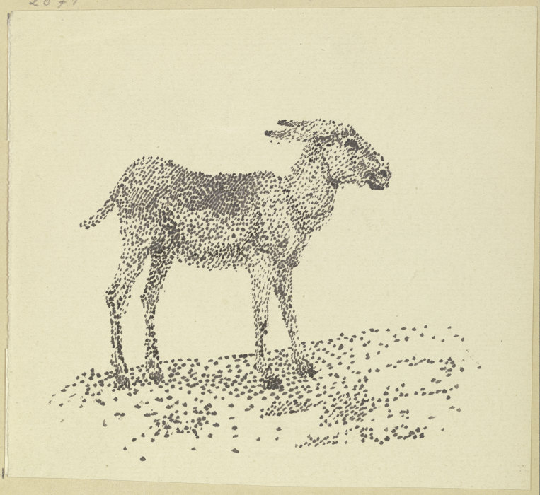 Donkey de Rudolf Gudden