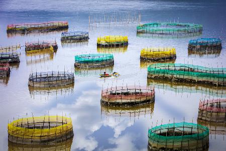 Fisherman Life