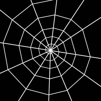 Spinnennetz de Sabine Schaefer