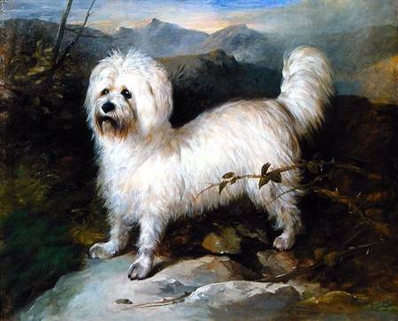 Small White Dog in a Landscape de Samuel Coleman
