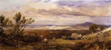 The Cornfield, Cloudy Morning de Samuel Palmer