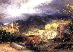 The Bellman with Oxen