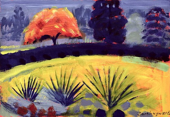 Botanical Gardens, Autumn (oil on card)  de Sara  Hayward