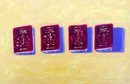 Four Passports de Sara  Hayward