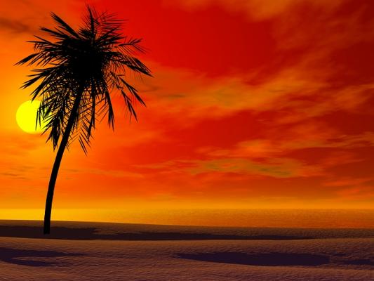 Tropical sunset de Sarah Holmlund