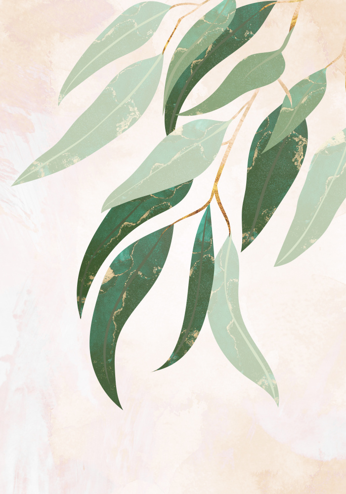 Australian Eucalyptus leaves de Sarah Manovski