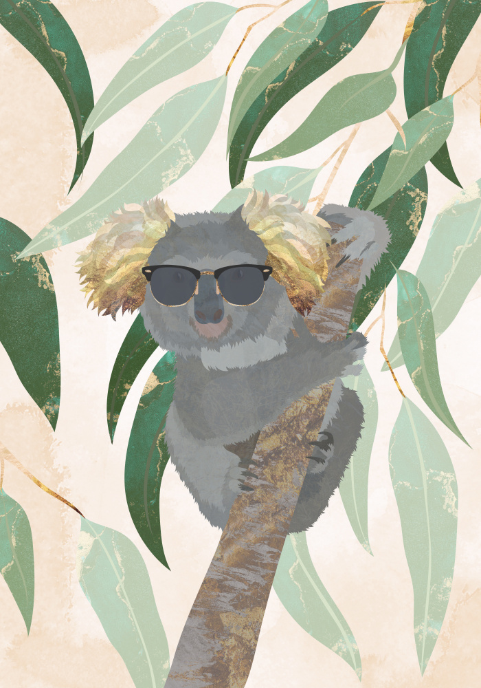 Cool Koala de Sarah Manovski