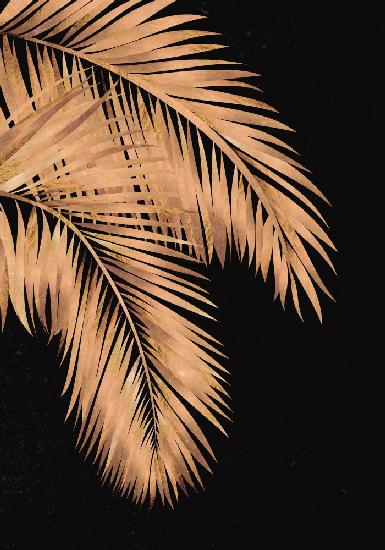 Golden palms black copper 1
