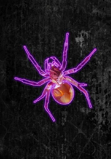 Neon halloween spider