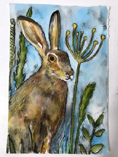 Hare with seed heads