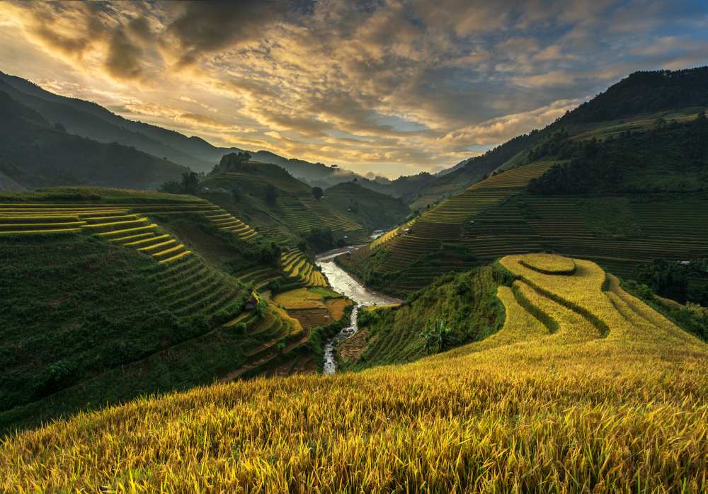 RiceTerrace ( vietnam) de Sarawut Intarob