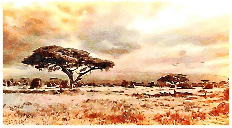 Afrikanische Landschaft de Saskia Ben Jemaa