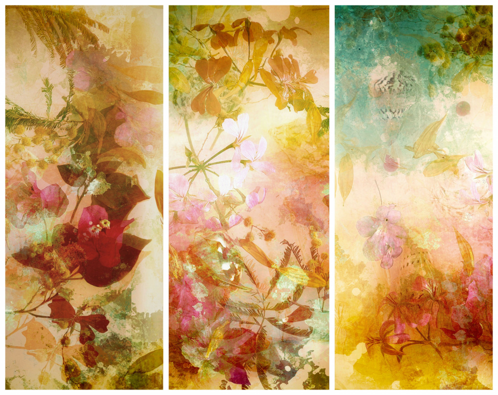 Flower abstractions  with mimosa, shells ,bougainvillea  floating in water.. Trilogy . de Saskia Dingemans