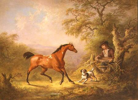 A Groom Feeding a Horse de Sawrey Gilpin