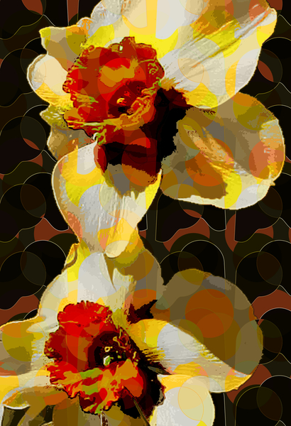 Daffodil de Scott J. Davis