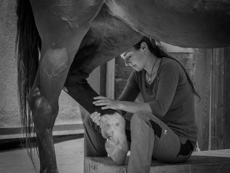 Girl treats horse de Sebastian Graf