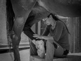 Girl treats horse