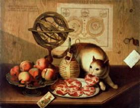 Still Life with Cat (oil on canvas)