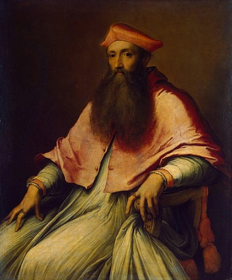 Cardinal Pole de Sebastiano del (S. Luciani) Piombo
