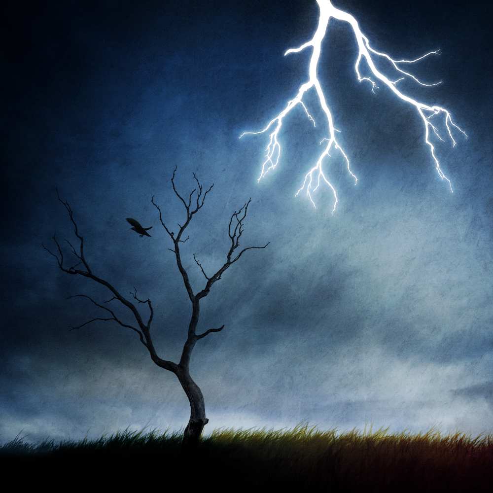 lightning tree de Sebastien DEL GROSSO