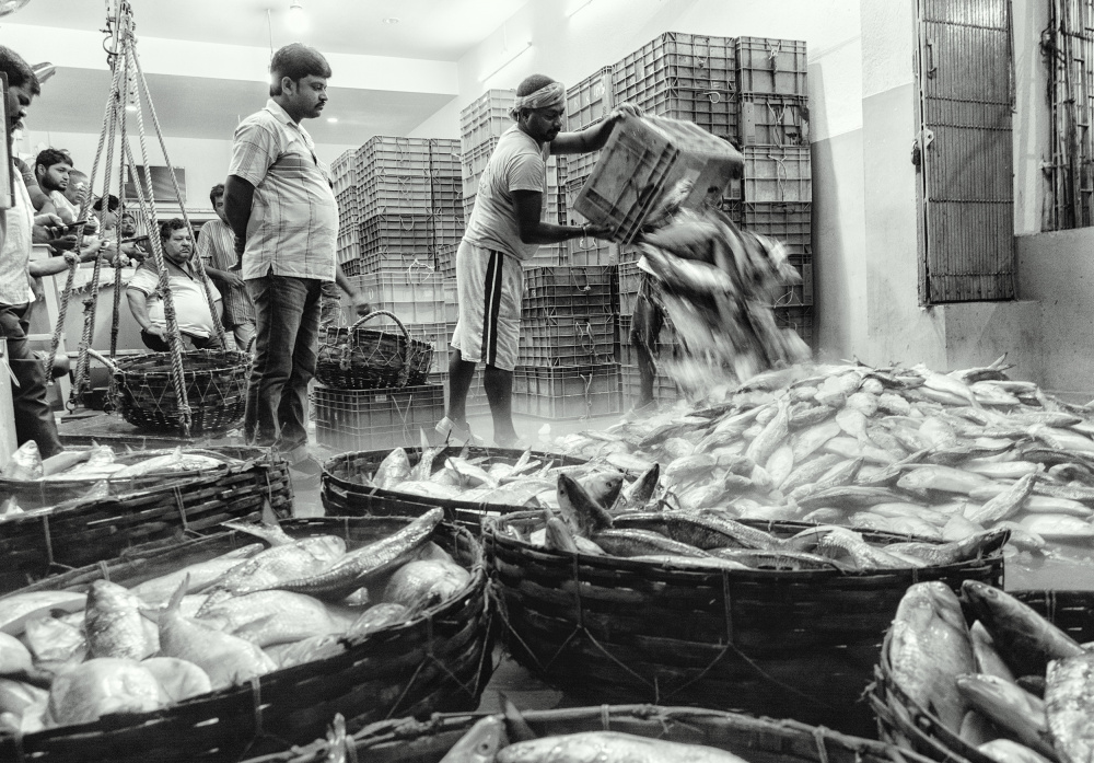 Fish Market de Shaibal Nandi