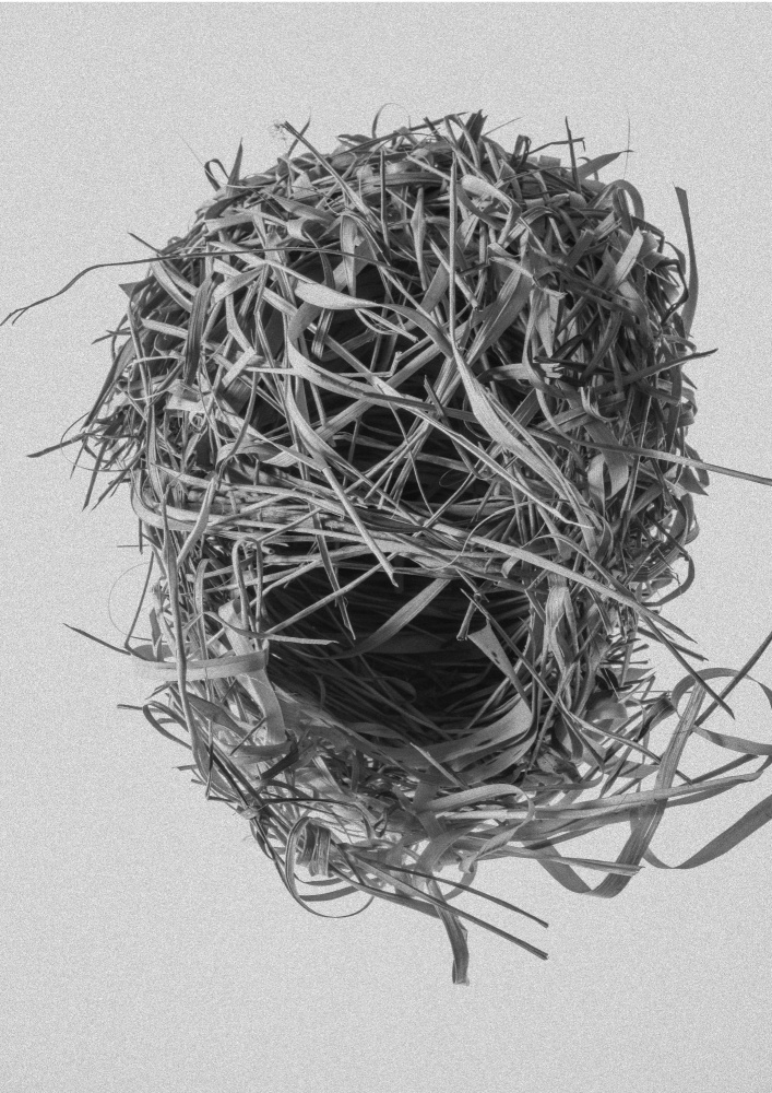 Weavers Nest de Shot by Clint