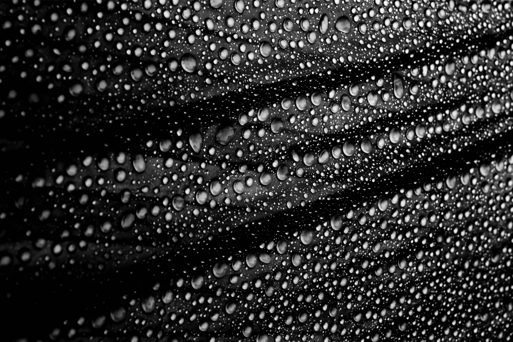 Cultured Rain Pearls de Simon JG Ciappara FRPS