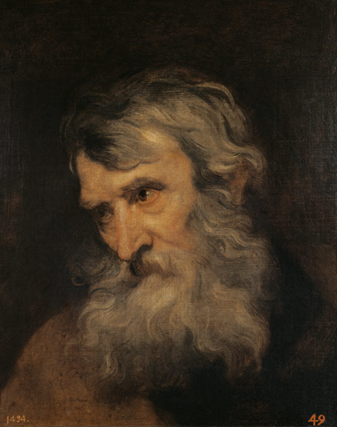 Portrait of an old man. de Sir Anthonis van Dyck