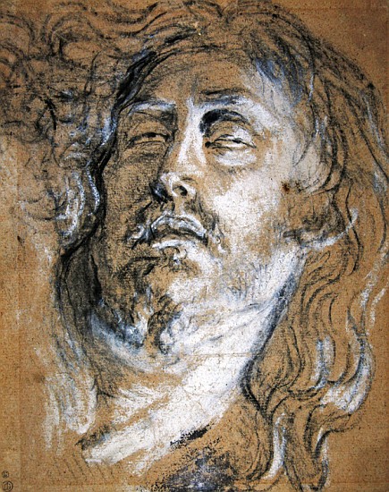 Head of the dead Christ (charcoal & chalk on paper) de Sir Anthony van Dyck