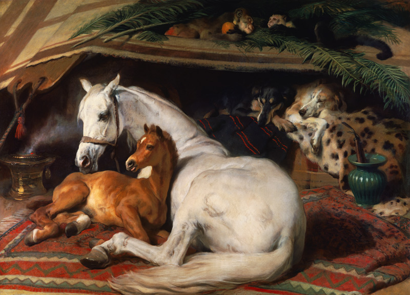 Das Araber - Fohlen de Sir Edwin Henry Landseer