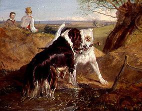 Two dogs in the fight for a Stöckchen de Sir Edwin Henry Landseer
