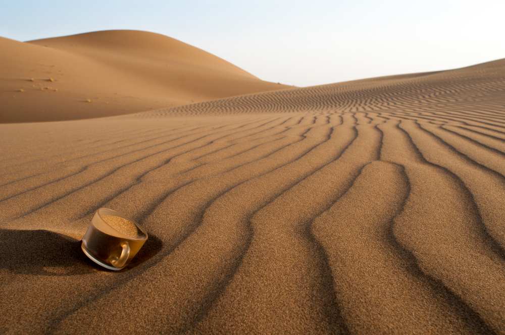 The thirsty desert. de Soheil Soheily