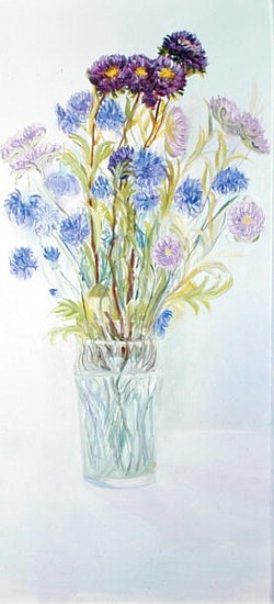 Cornflowers and Asters, 1997 (oil on board)  de Sophia  Elliot