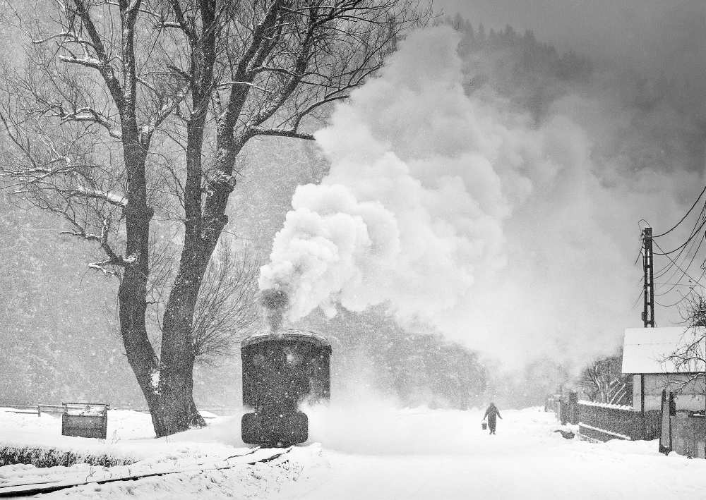 A Winter's Tale de Sorin Onisor